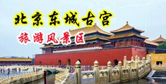 东北美女尿尿操屁眼吞精操逼中国北京-东城古宫旅游风景区